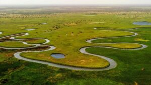 okavango delta, river, landscape, aerials, drone, okavango delta, okavango delta, okavango delta, okavango delta, okavango delta, river, river, river, river, drone, drone