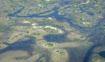 okavango-5028308_1280